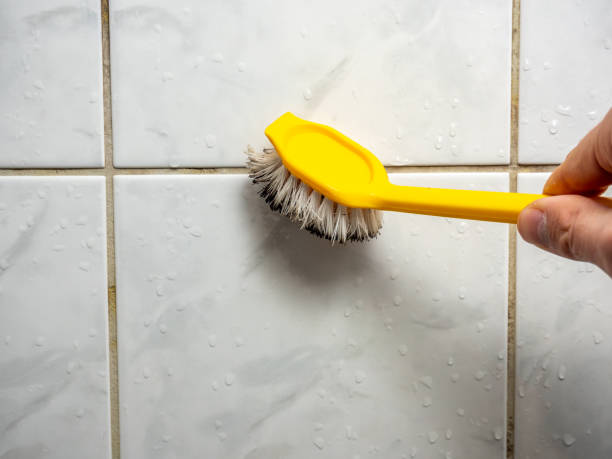 Best Basement Mold Remediation in Mcalester, OK