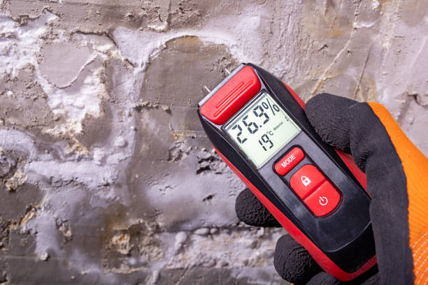 Best HVAC Mold Remediation in Mcalester, OK