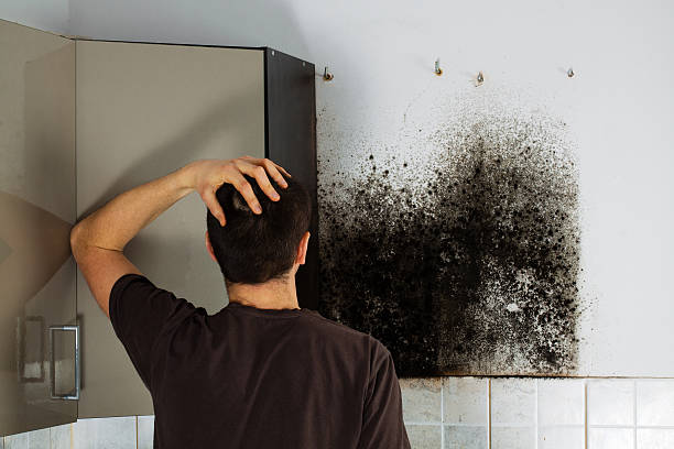 Best Residential Mold Remediation in Mcalester, OK